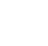 Leaders